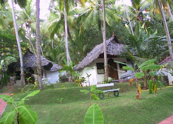 Ayurveda pur in Südindien- Teil&nbsp;2